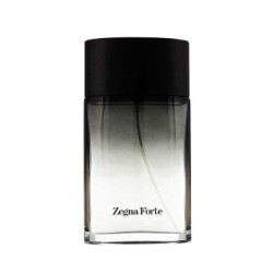 Ermenegildo Zegna Zegna Forte 100ml